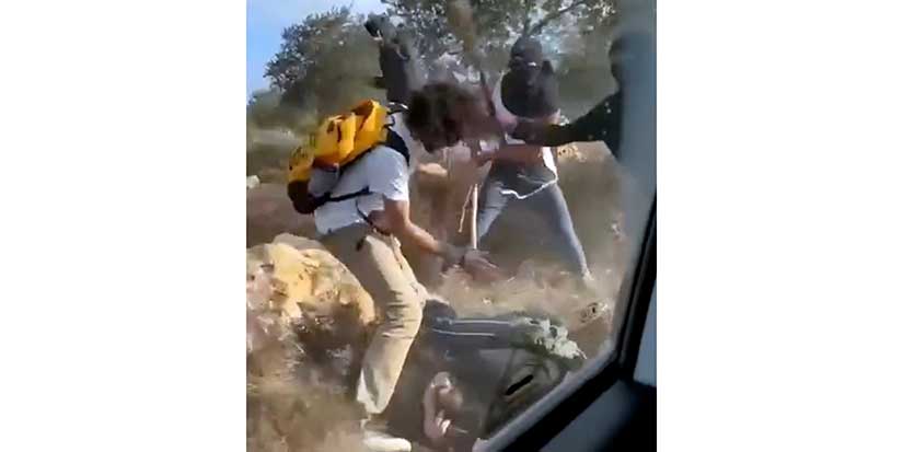 Israeli settlers beat Palestinian farmers on video as attacks mount during West Bank olive harvest