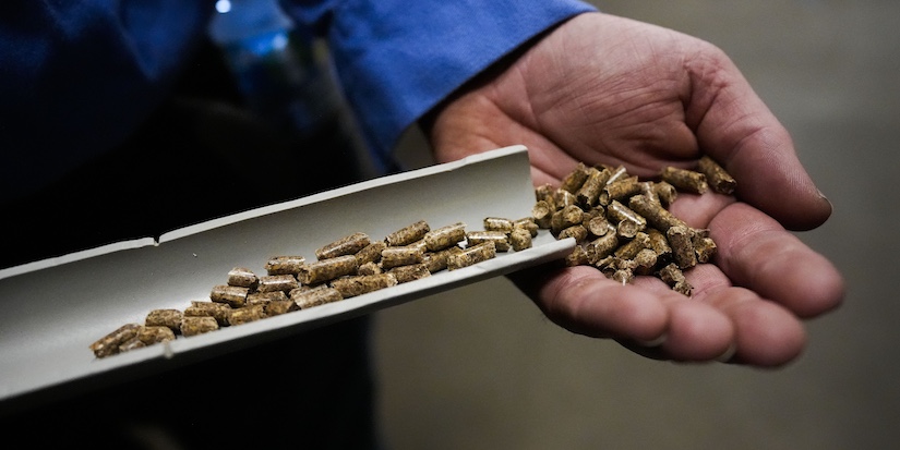 Drax to shut B.C. wood pellet plant by year's end, says not 'commercially viable'