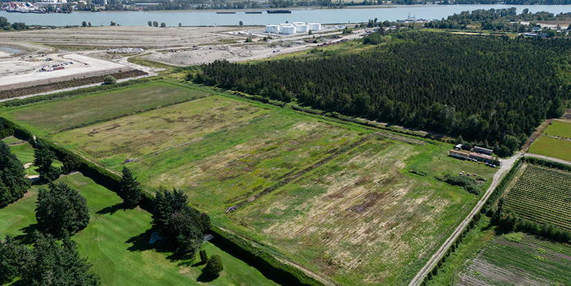 Cowichan lawyer says treaty could recognize both Aboriginal and private title on land