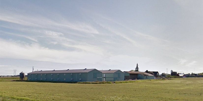 COVID-19 recovery programs to support farmers