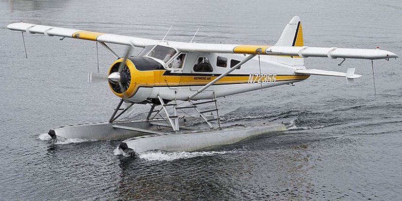 Aviation industry calls for immediate aid