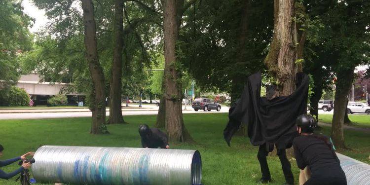 Seen in passing: Minoru Park dance rehearsal 