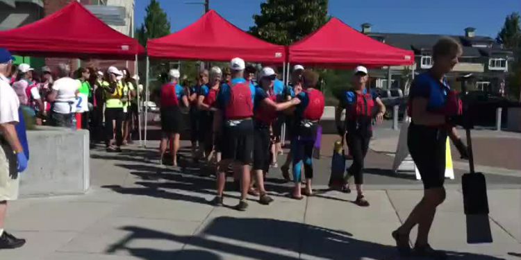 Dragon boaters shine in the Steveston sun. 