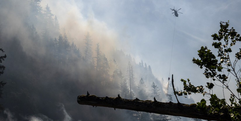 Wet and mild winter is 'good news' for B.C. wildfire season, says forecaster