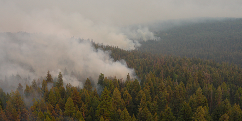 Wildfire crews fight weather, terrain on growing blaze near Summerland, B.C.