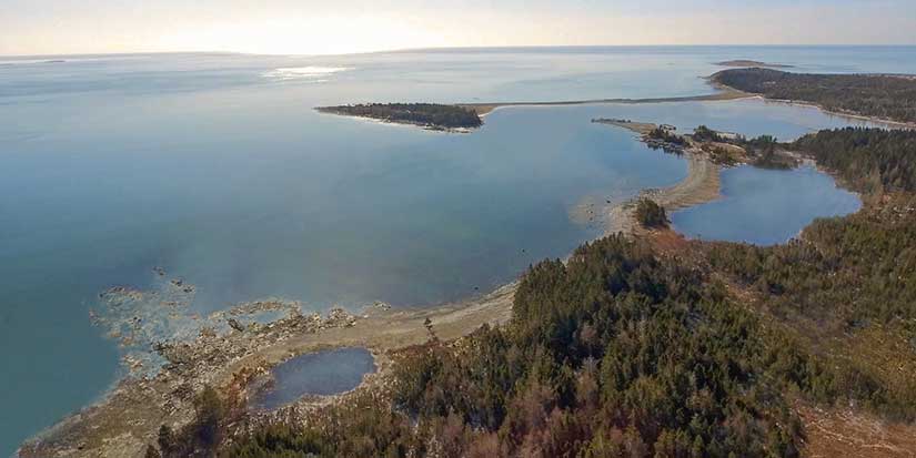 Five things about Nova Scotia's decision to approve Whale Sanctuary Project