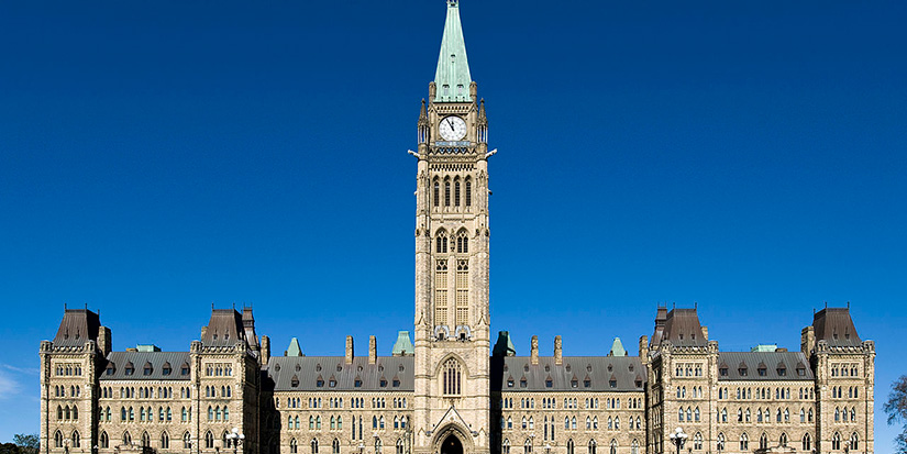 Feds look to further assist businesses