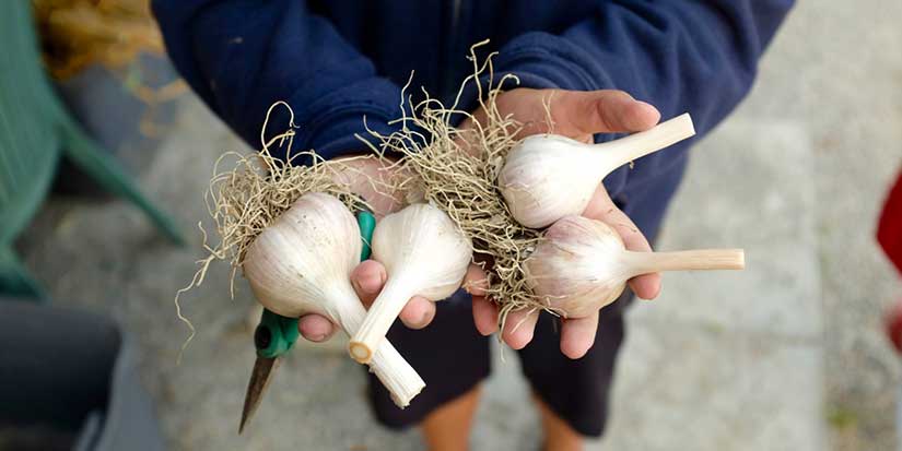 What’s happening in Richmond