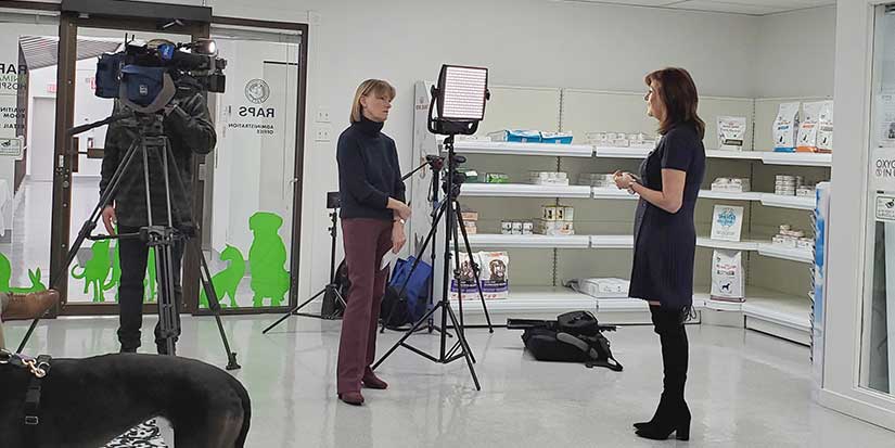 World expert in vet therapy visits