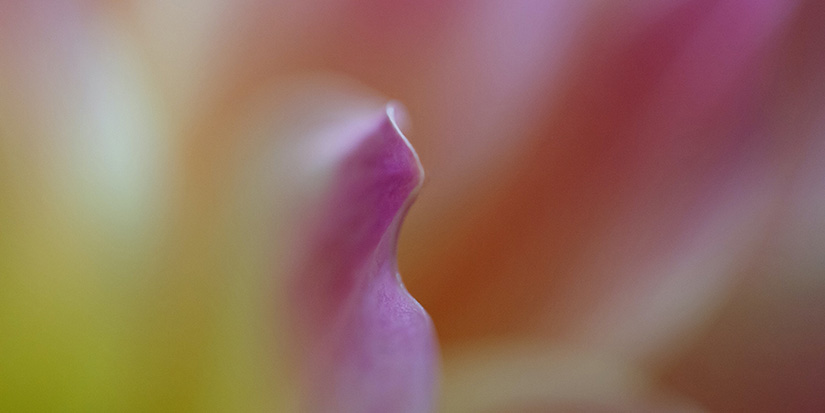 Photographer inspired by contrast, emotion