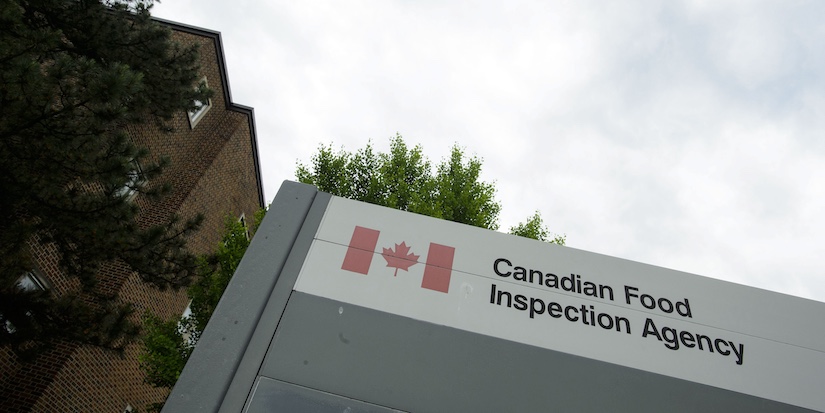 The salmonella outbreak linked to pistachios is still ongoing. What you need to know