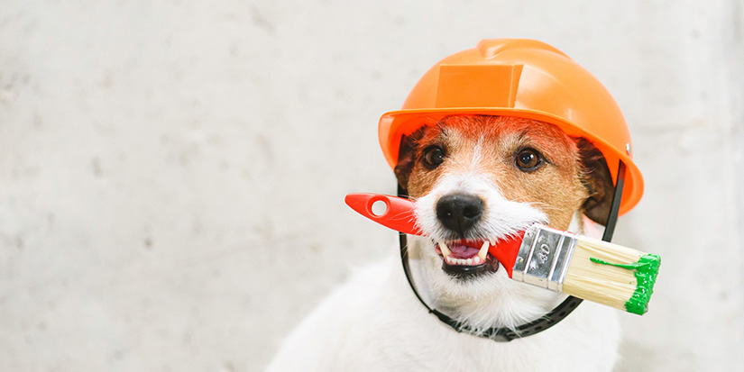 Environmental stewards urge paint recycling