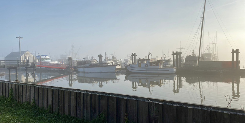 Government support coming for agriculture businesses