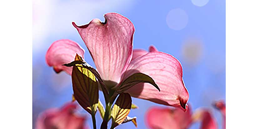 Art exhibition features mother and daughter