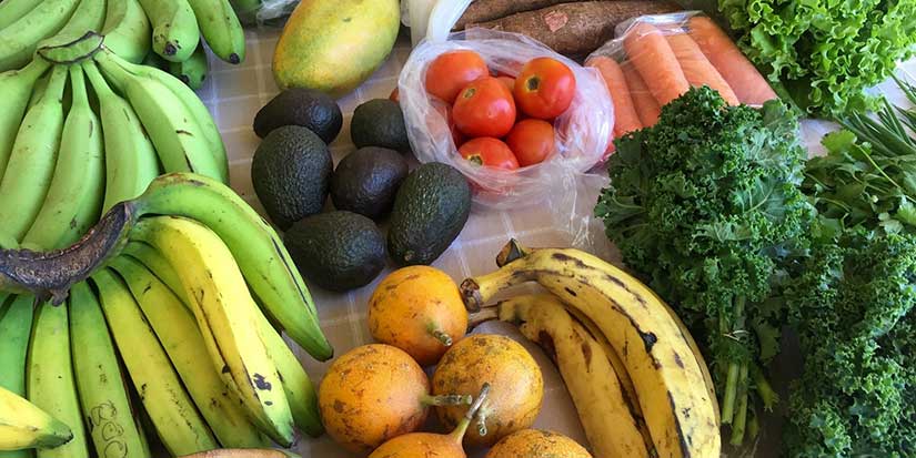 Richmond works to reduce commercial food waste