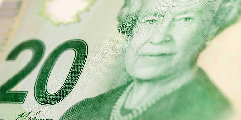 May labour force survey shows massive job loss