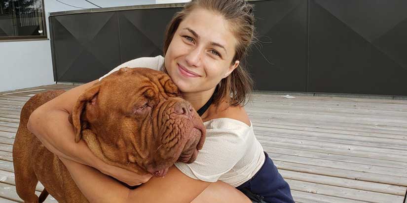 Fate brings dog to safety