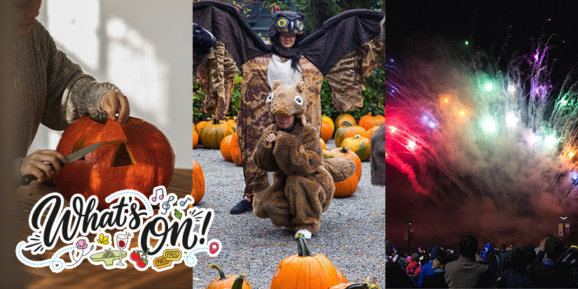 OUR CITY Richmond: What's On